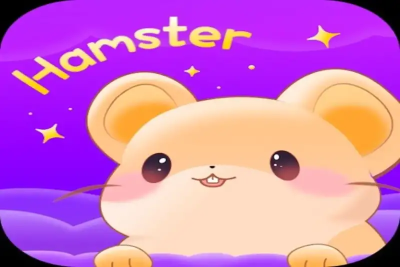 هامستر - Hamster